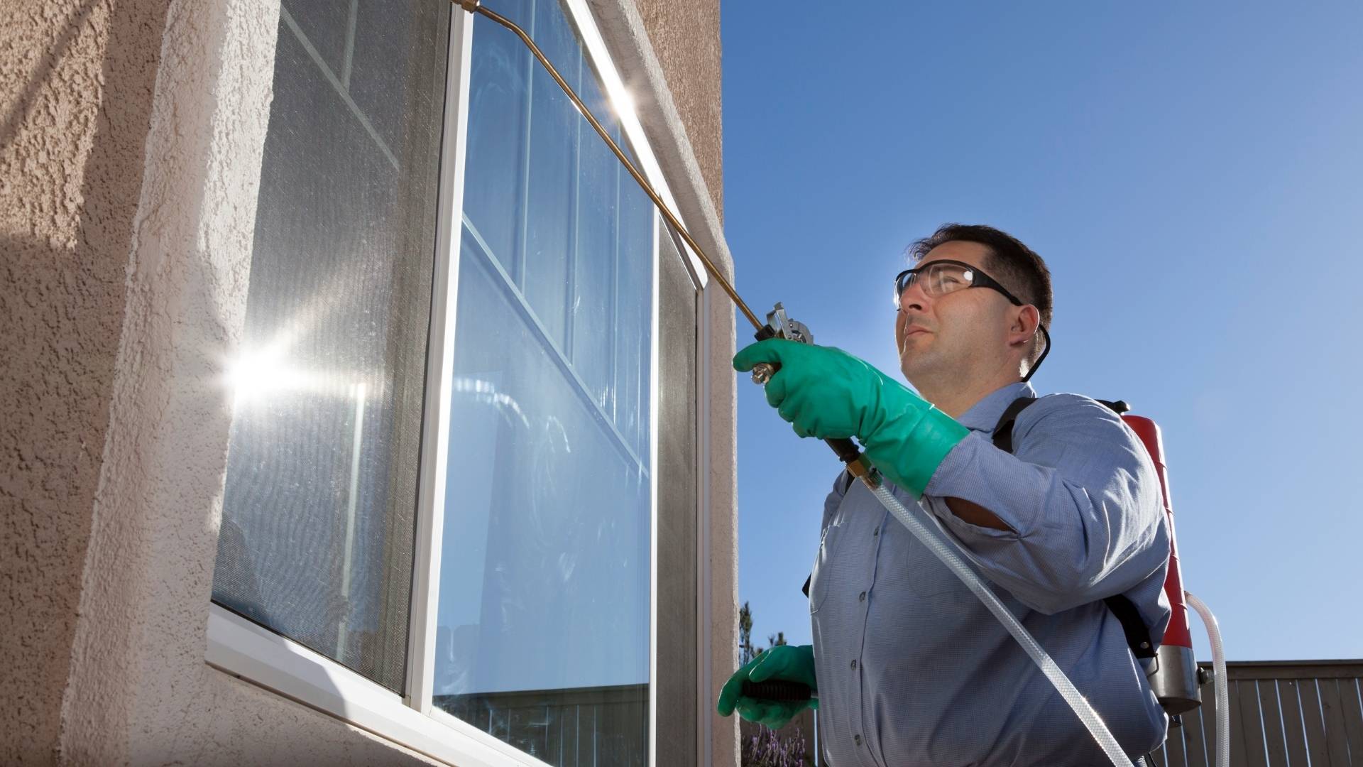 Commercial Pest Prevention