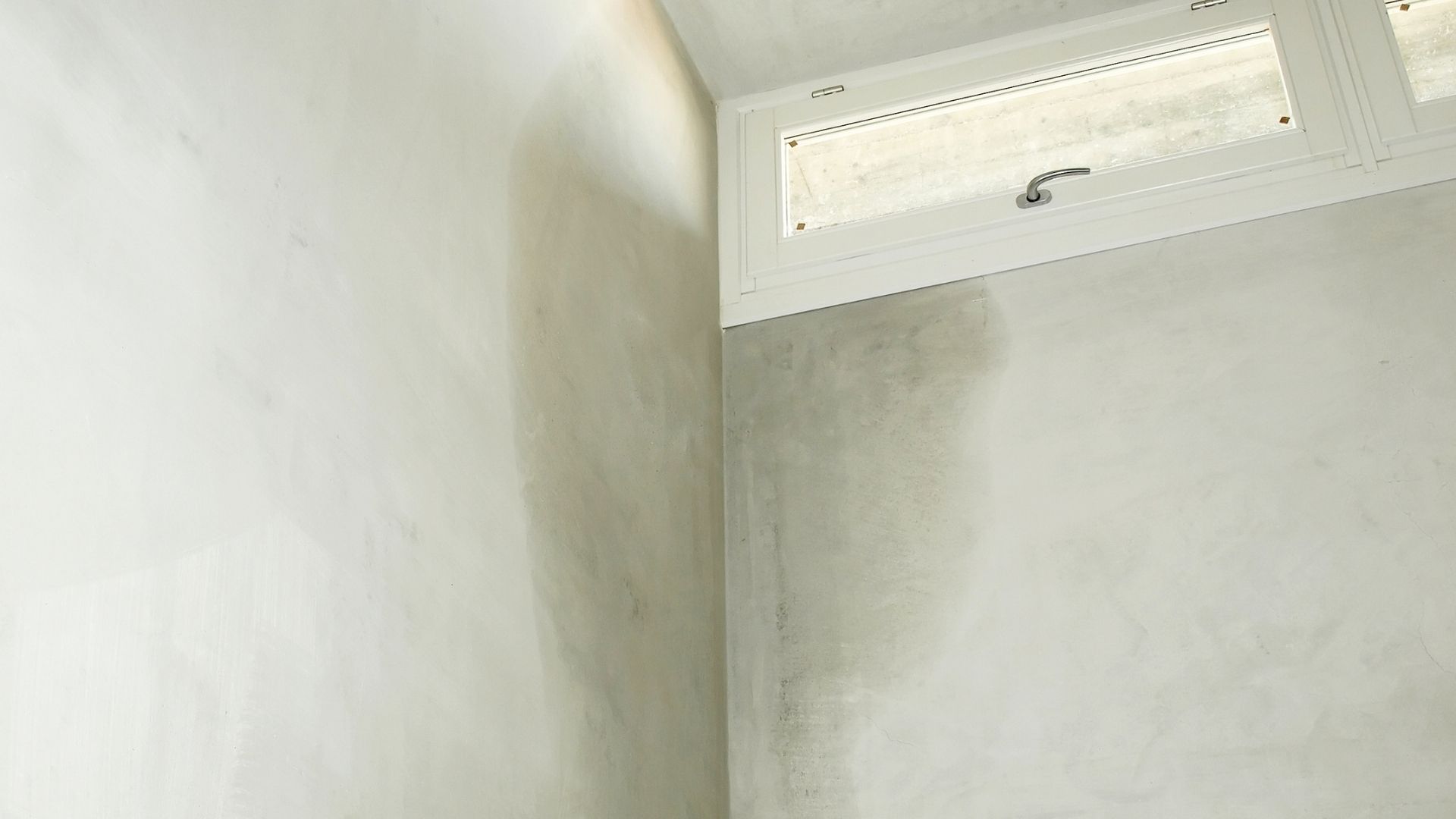Moisture Remediation