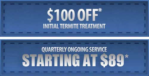 Pest Control Promotions