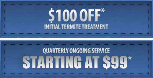 Pest Control Promotions