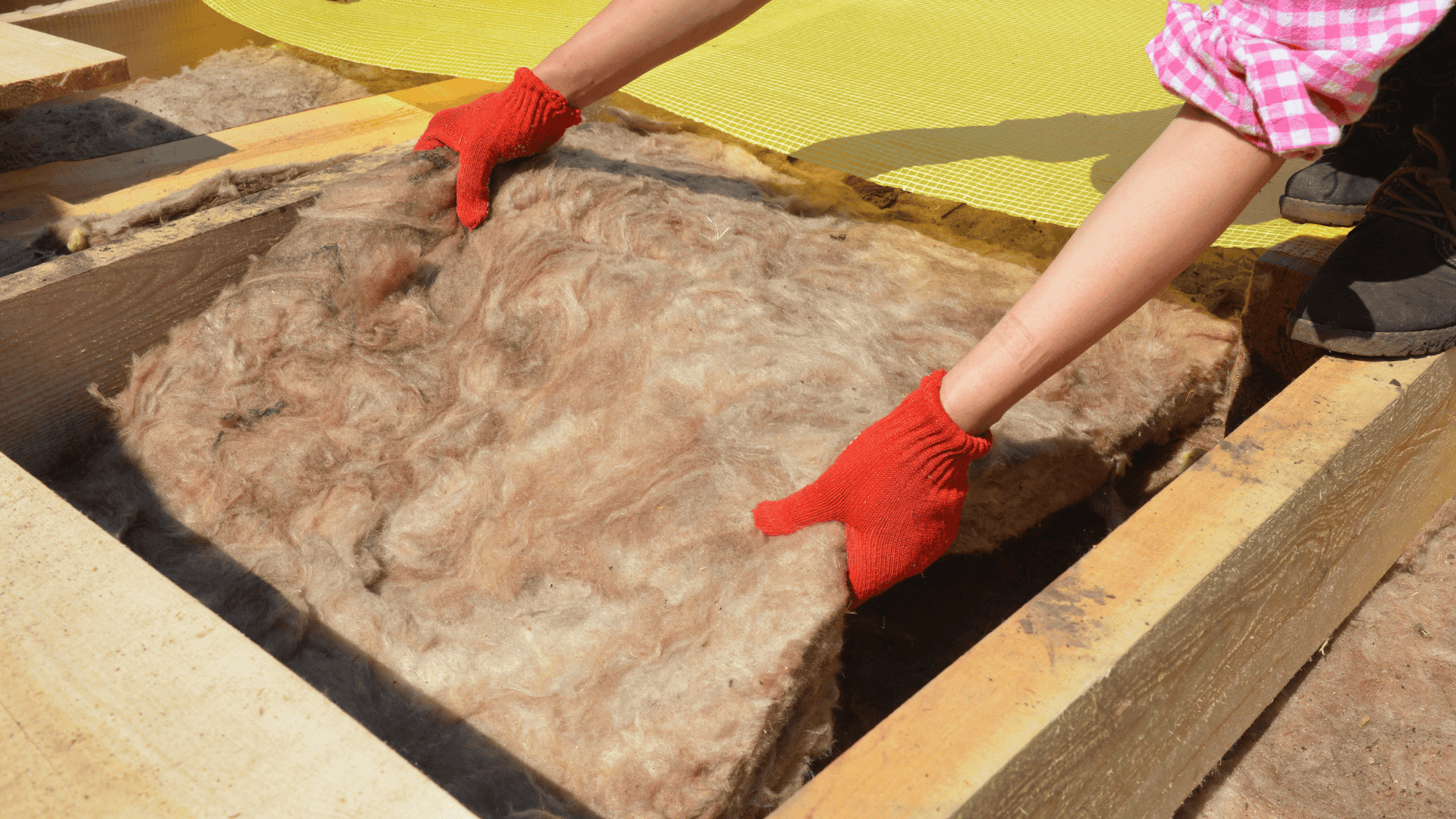 Winter Moisture Control in Knightdale, NC