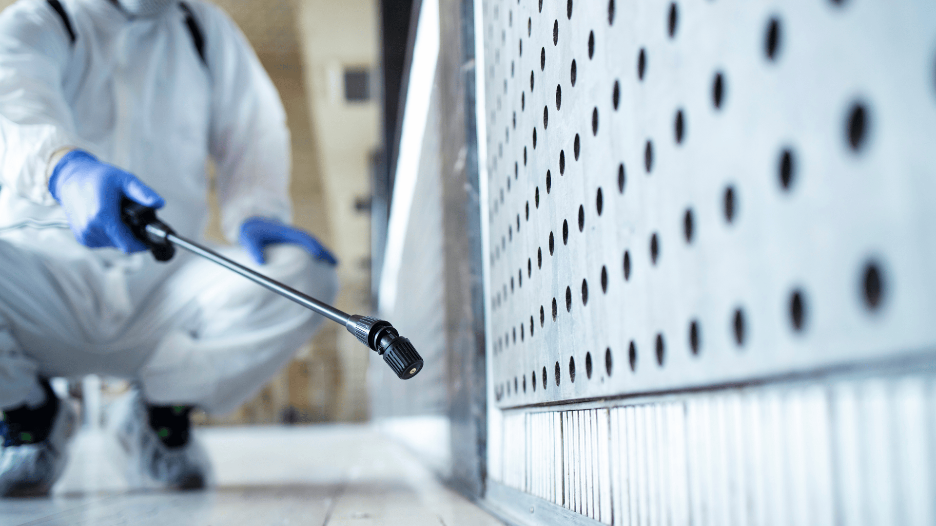 Crawl Space Encapsulation in Selma, NC