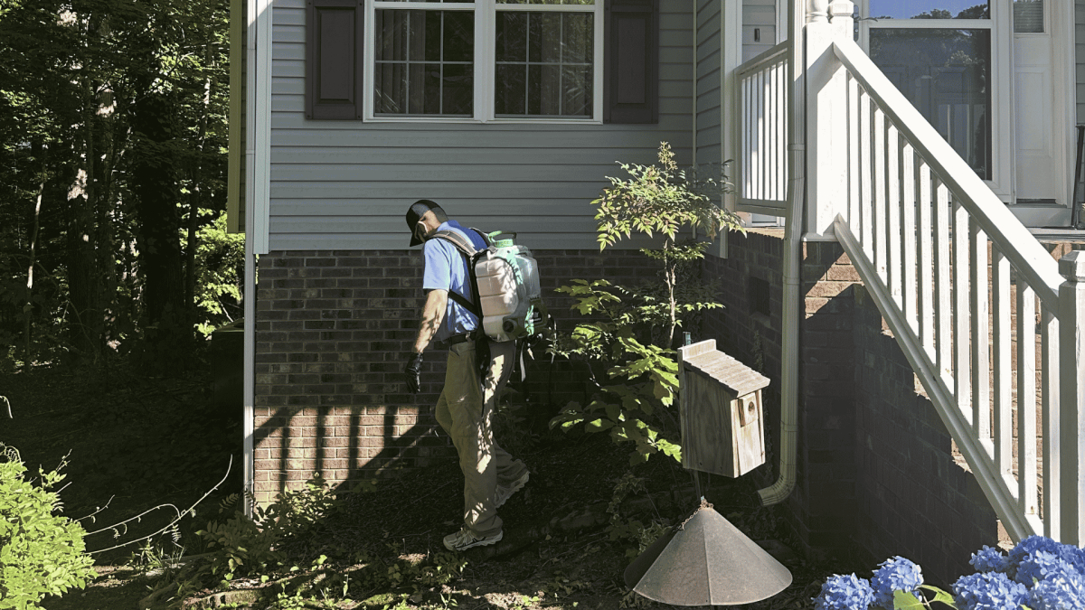 Pest Home Protection Plan in Green Level, NC
