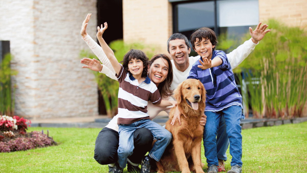 Pest Home Protection Plan in Haw River, NC