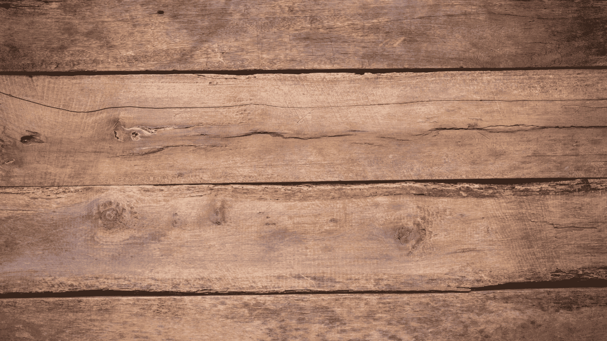 Termite Treatment in Burlington, NC