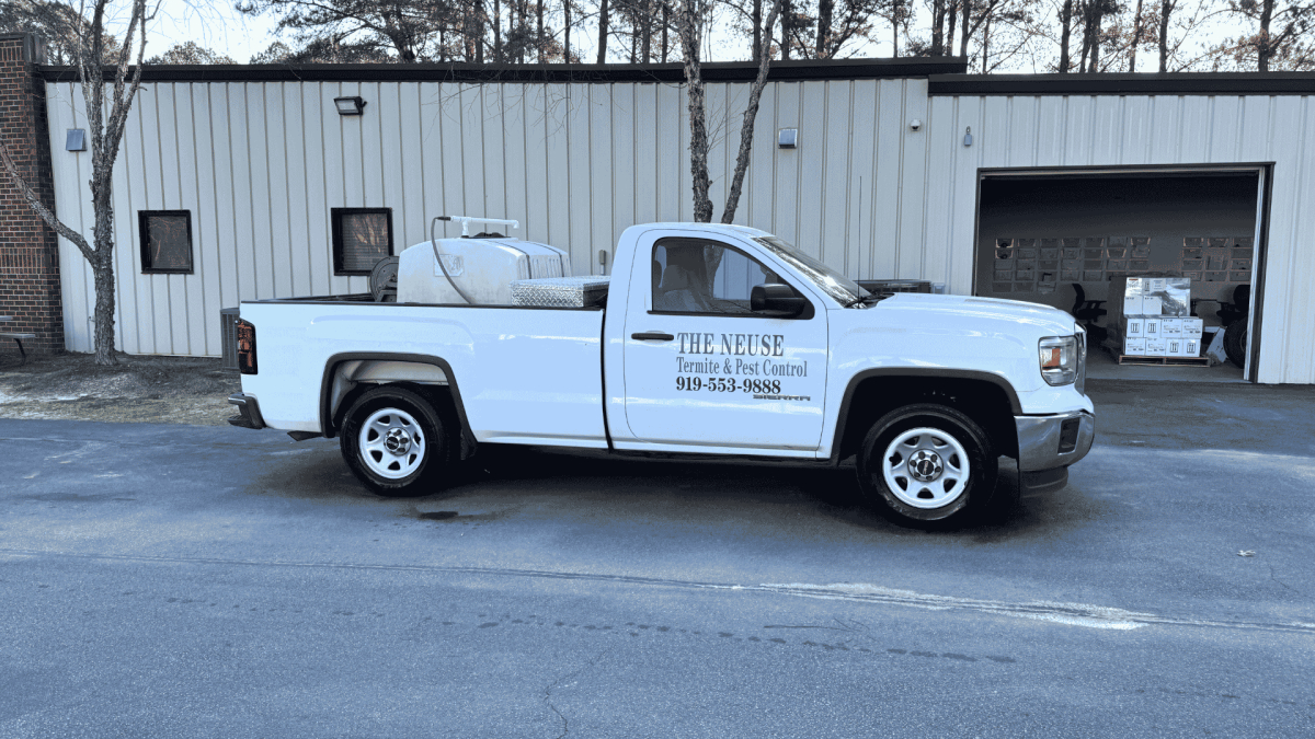 Termite Treatment in Cary, NC