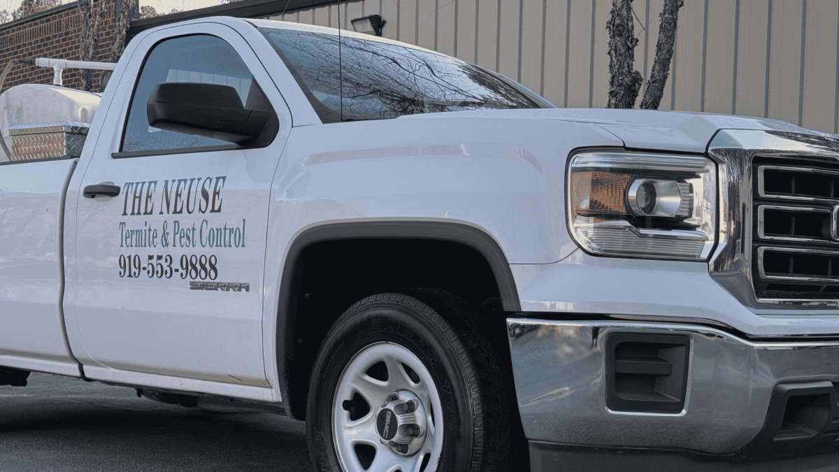Termite Treatment in Clayton, NC