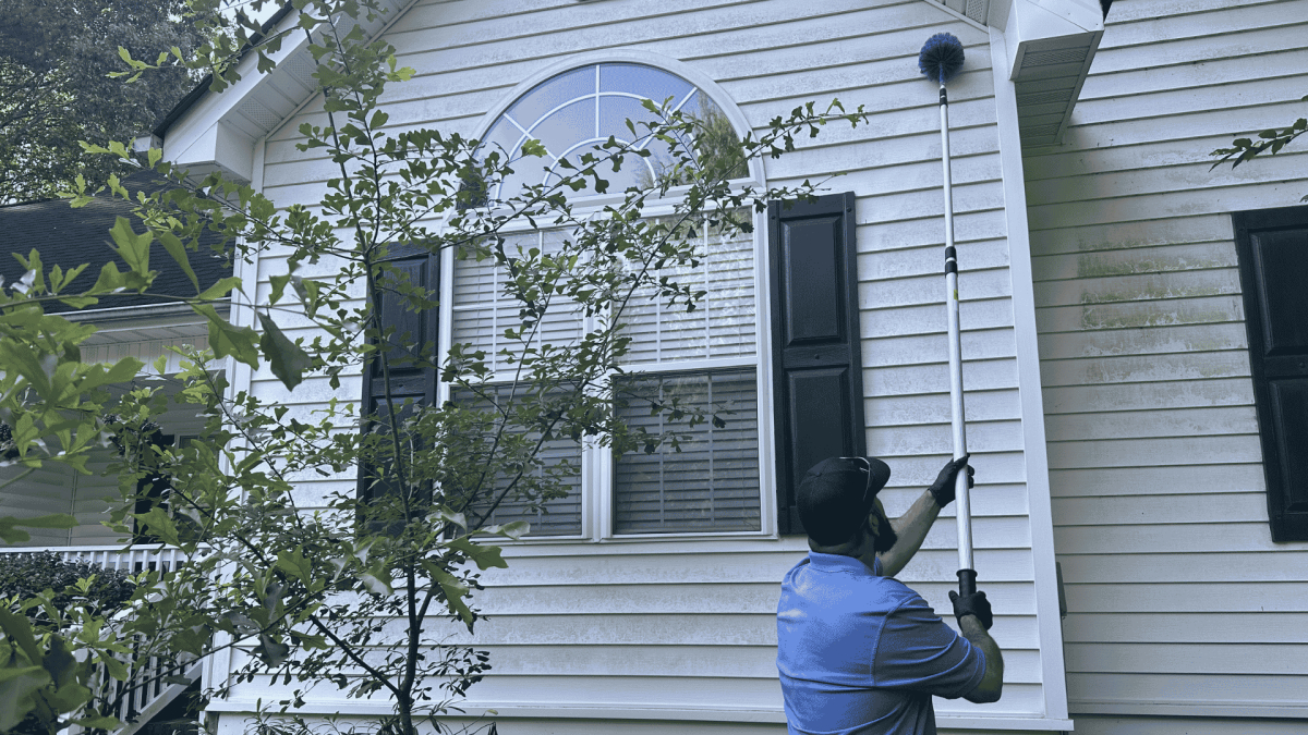 Termite Treatment in Smithfield, NC