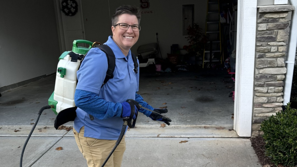 Termite Treatment in Wake Forest, NC