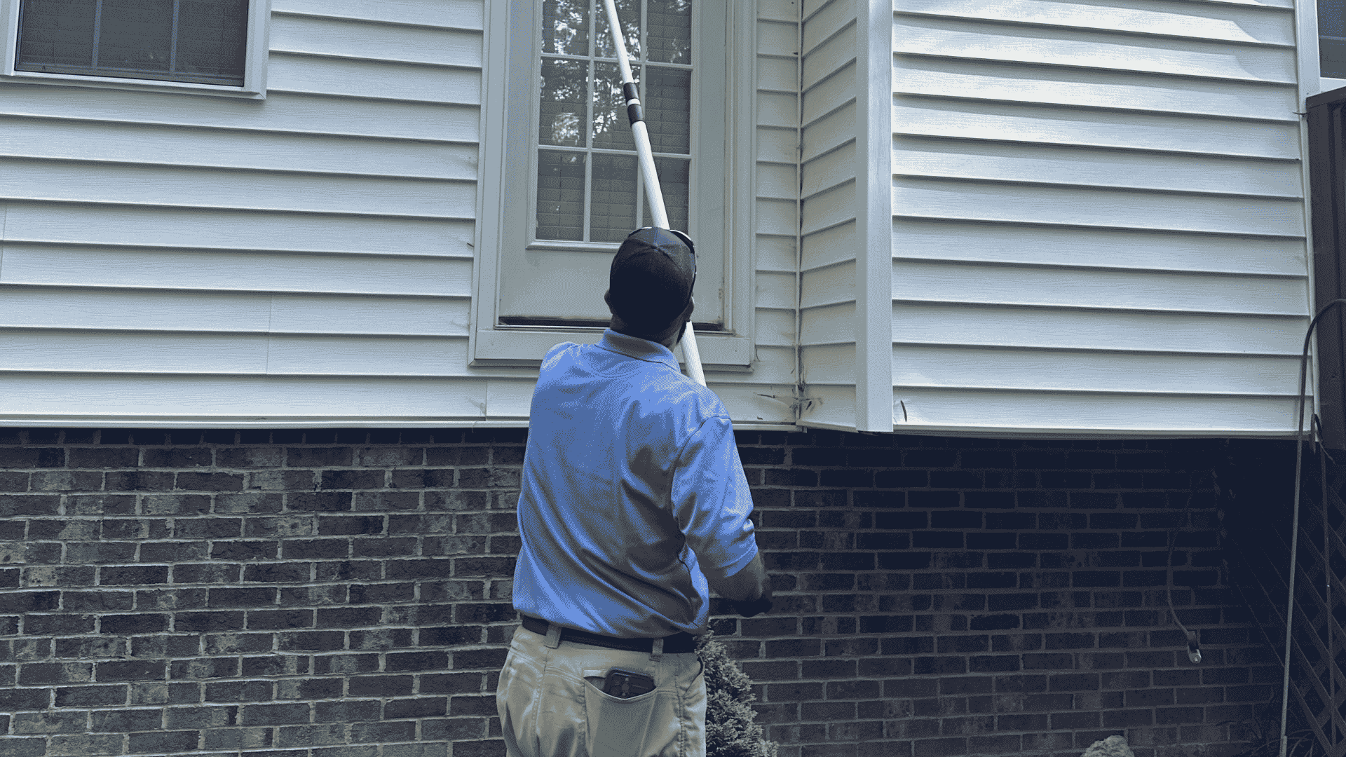 Termite Treatment in Holly Springs, NC